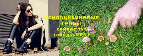 молекула духа Каменногорск