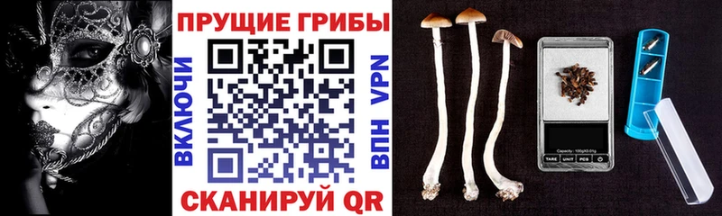 Псилоцибиновые грибы ЛСД  Купить  Аткарск 
